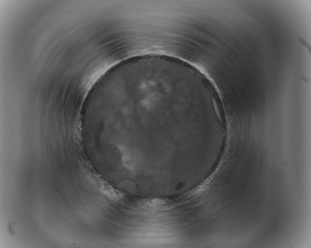 X0000099380879200805221803