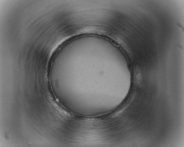 X0000099380880200805221803