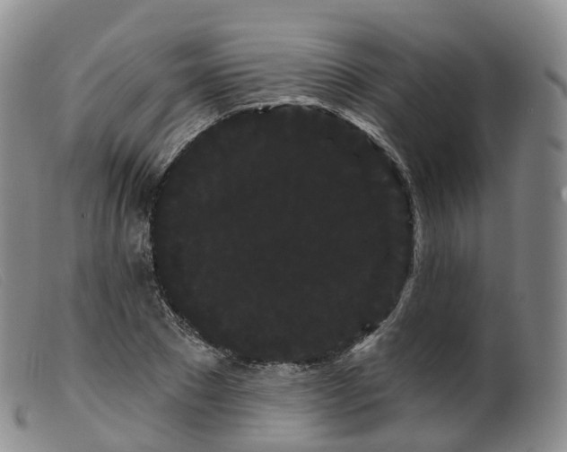 X0000099380881200805221803