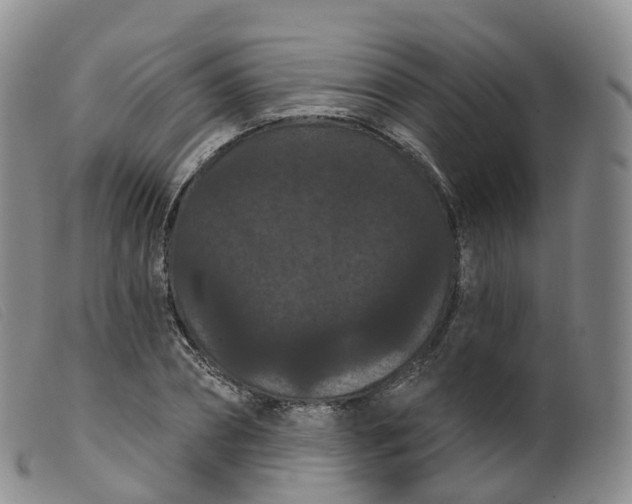 X0000099380882200805221803