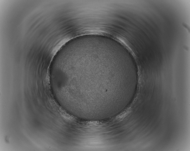 X0000099380883200805221803