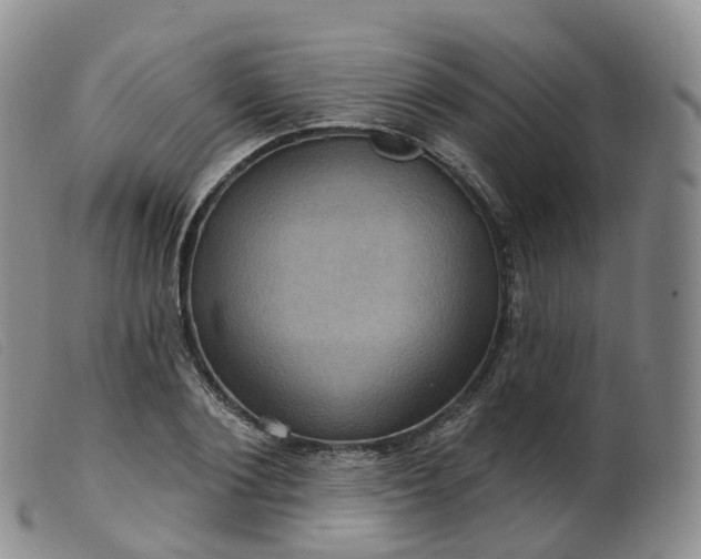 X0000099380884200805221803