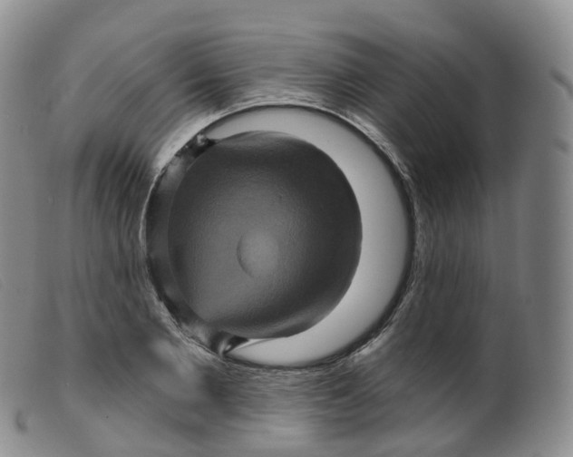 X0000099380885200805221803