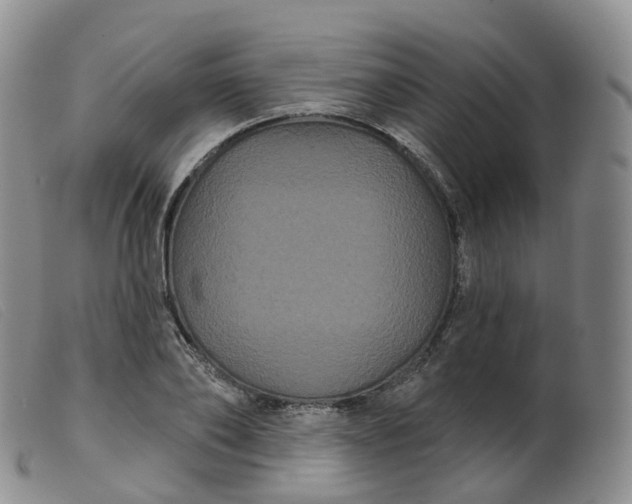 X0000099380886200805221803