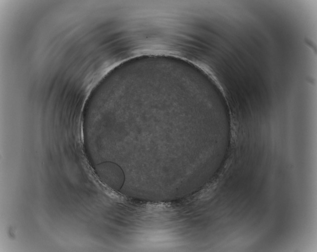 X0000099380887200805221803