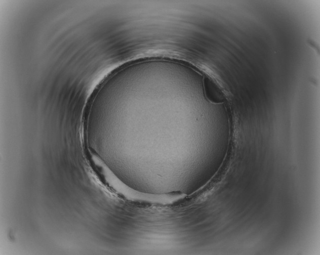 X0000099380888200805221803