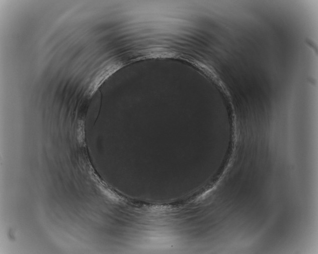 X0000099380889200805221803