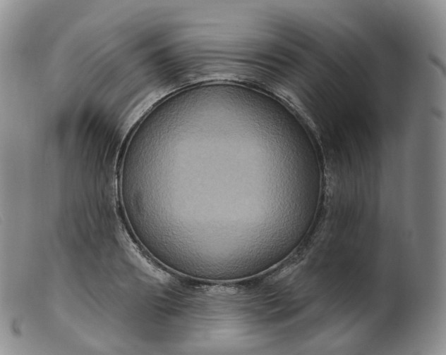 X0000099380890200805221803