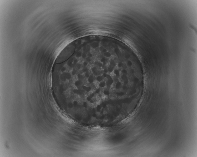 X0000099380891200805221803