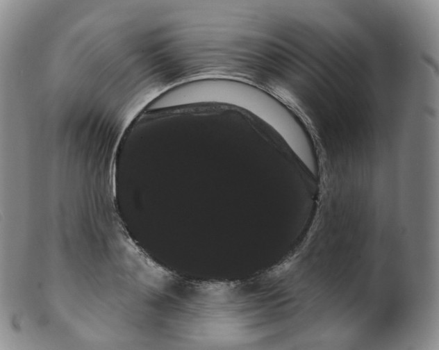 X0000099380892200805221803