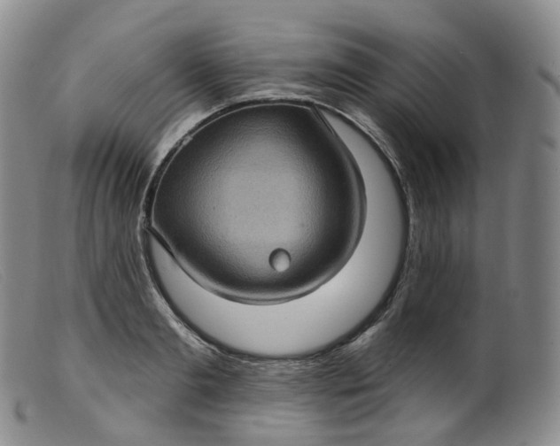 X0000099380893200805221803