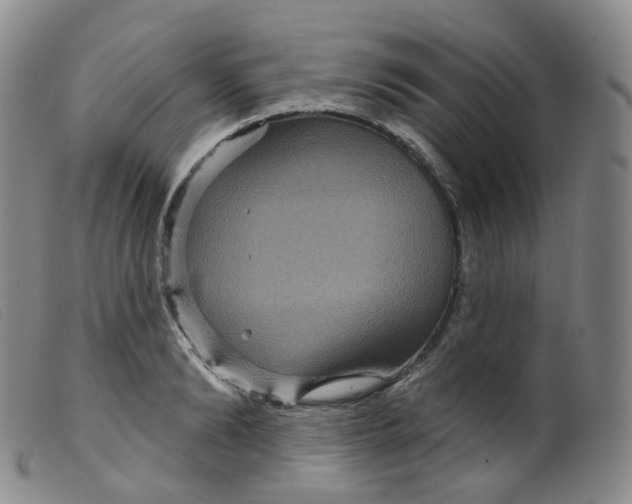 X0000099380894200805221803