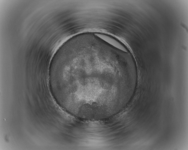 X0000099380895200805221803