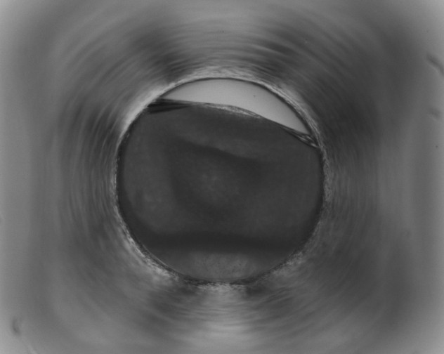 X0000099380896200805221803