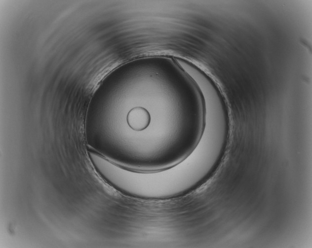 X0000099380897200805221803