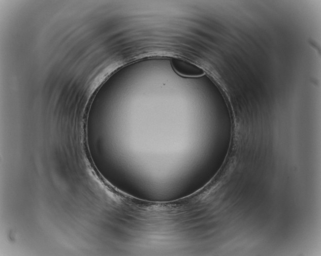 X0000099380898200805221803