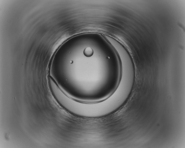 X0000099380899200805221803