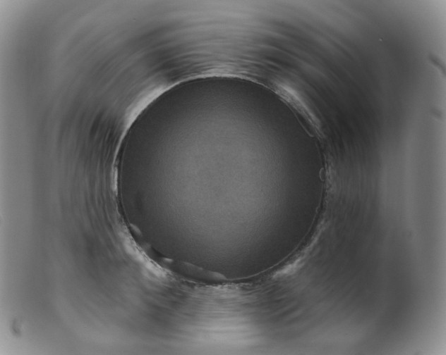 X0000099380900200805221803