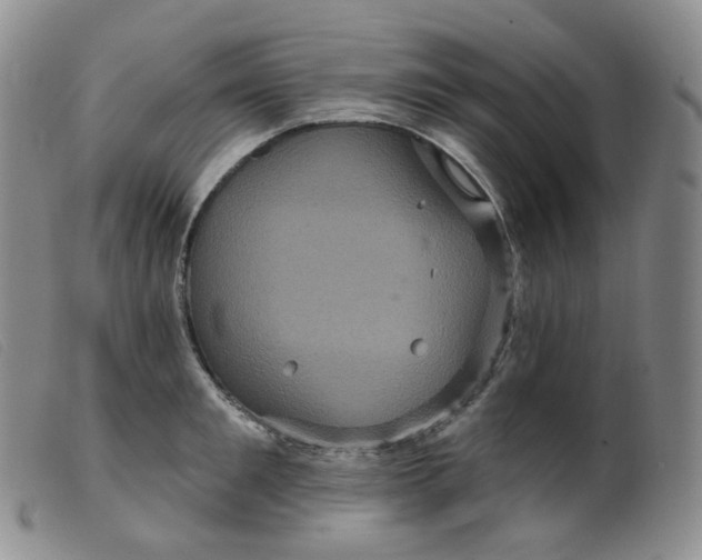 X0000099380901200805221803