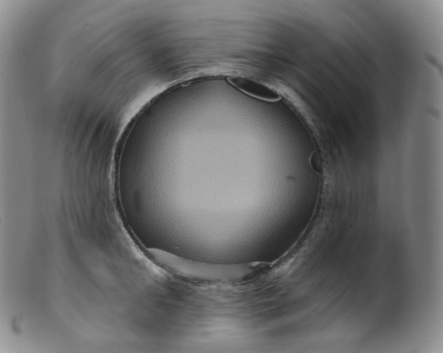 X0000099380902200805221803