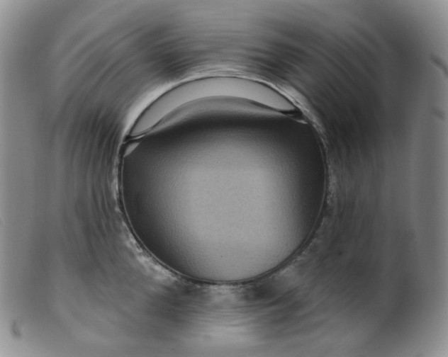 X0000099380904200805221803