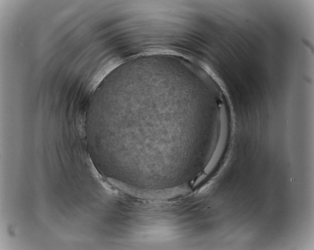 X0000099380905200805221803