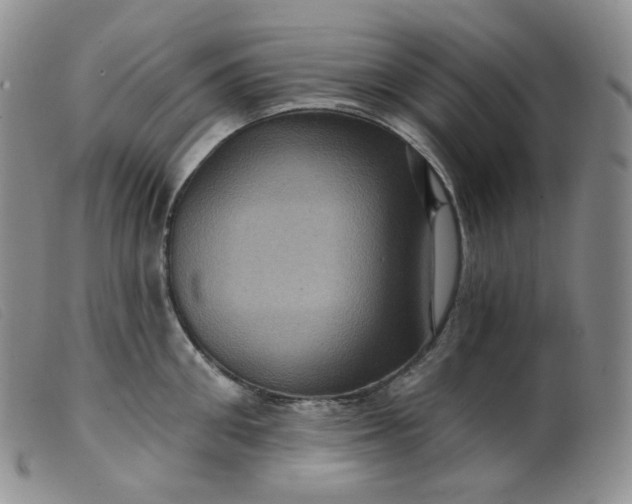 X0000099380906200805221803