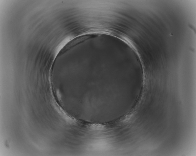 X0000099380907200805221803