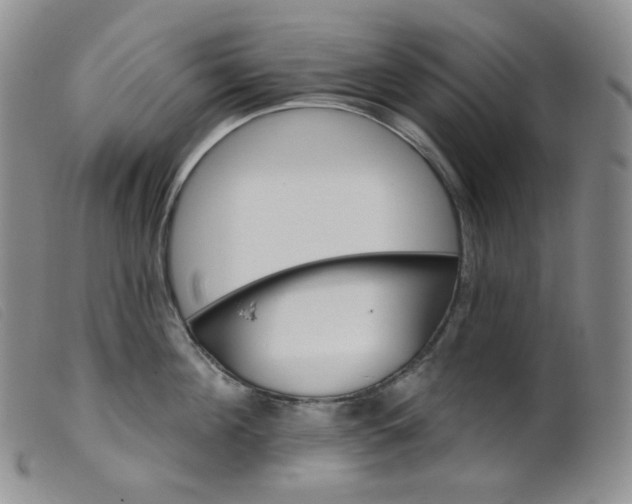 X0000099380908200805221802