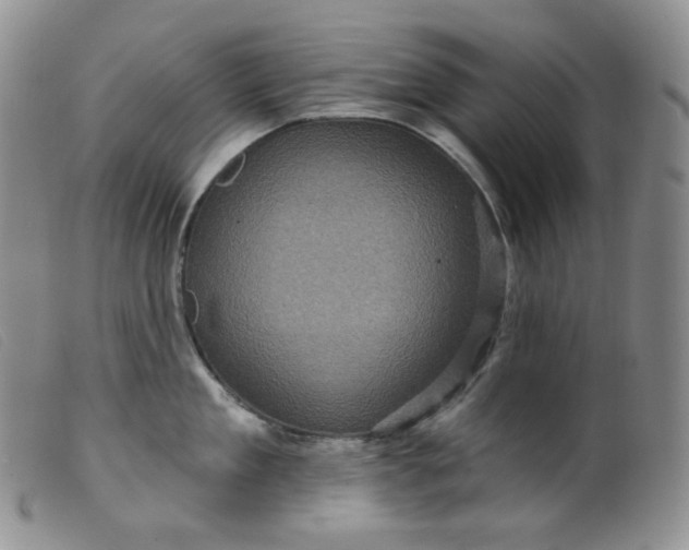 X0000099380909200805221802