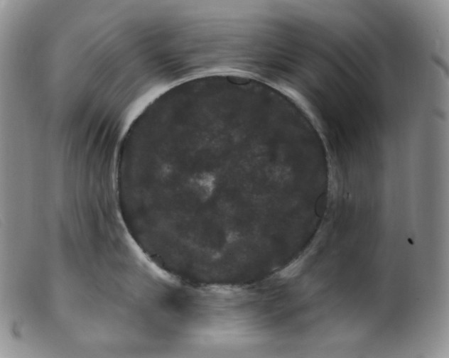 X0000099380910200805221802