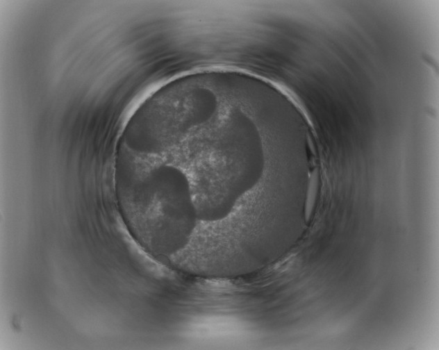 X0000099380911200805221802