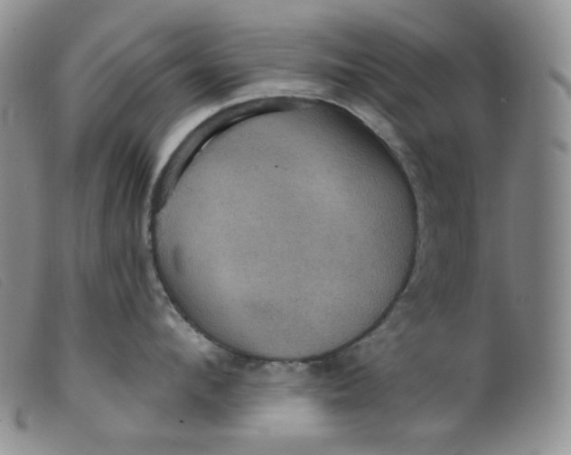 X0000099380912200805221802