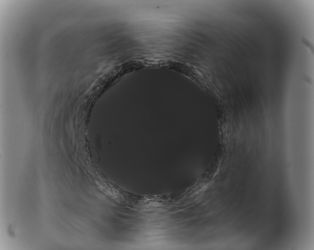 X0000099380913200805221802