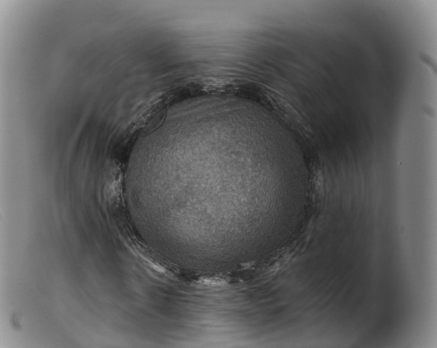 X0000099380914200805221802