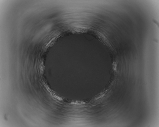 X0000099380915200805221802