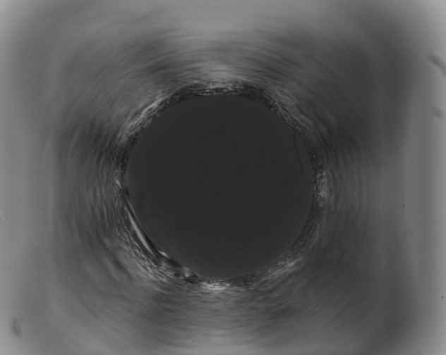 X0000099380916200805221802