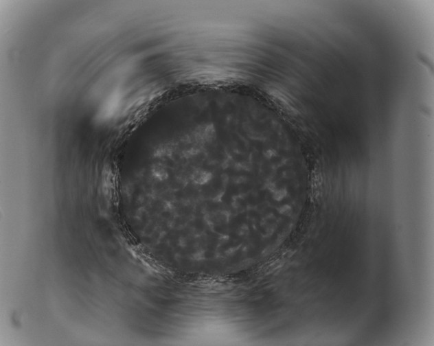 X0000099380917200805221802