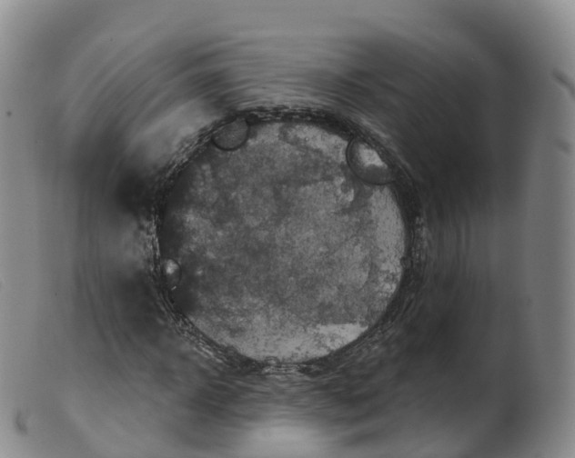 X0000099380918200805221802