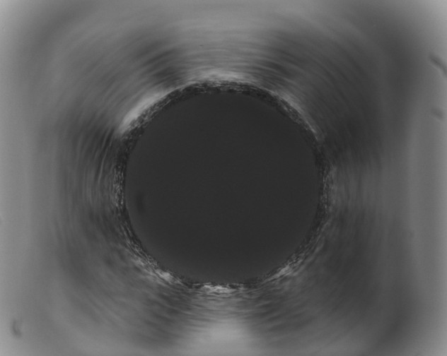 X0000099380919200805221802