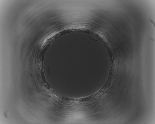 X0000099380920200805221802