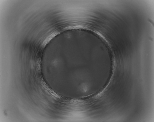 X0000099380921200805221802