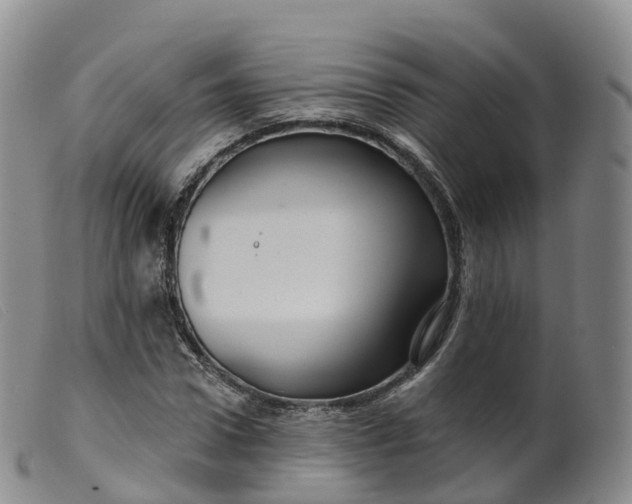 X0000099380922200805221802