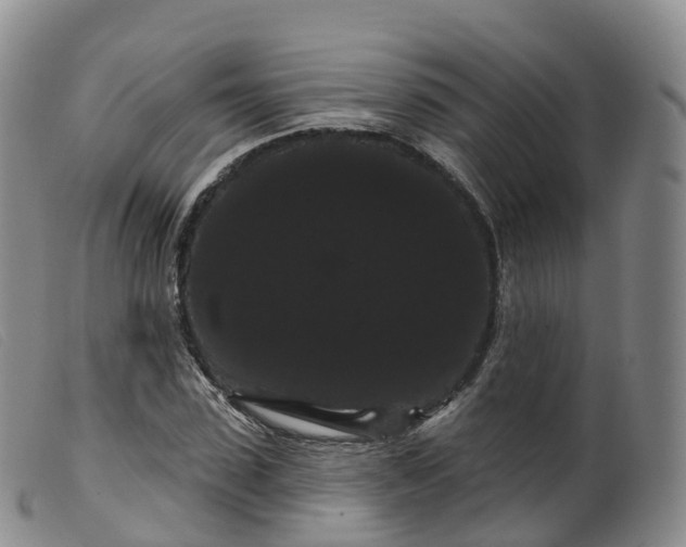 X0000099380923200805221802