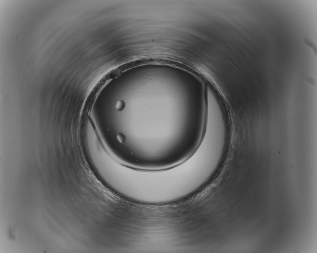 X0000099380924200805221802