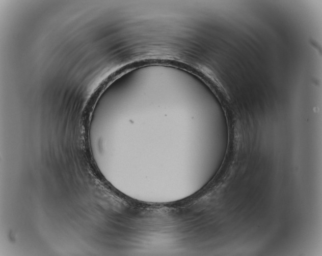 X0000099380926200805221802