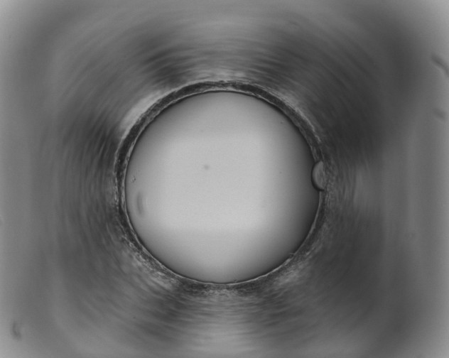 X0000099380927200805221802