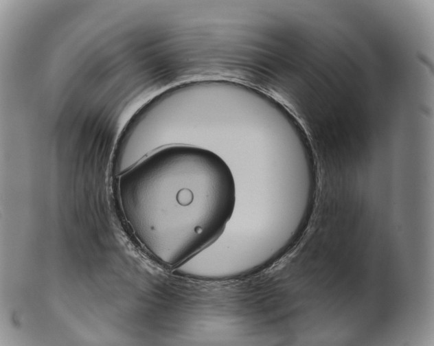 X0000099380928200805221802