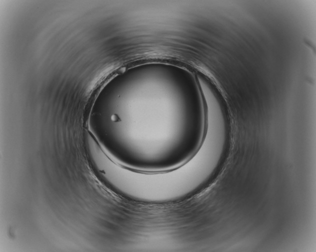 X0000099380930200805221802