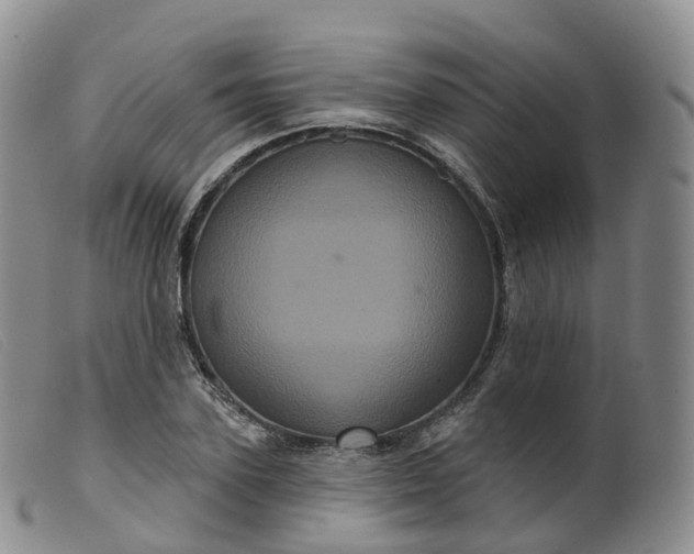 X0000099380931200805221802